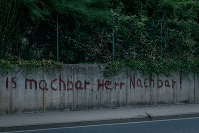 Text on wall by road in forest