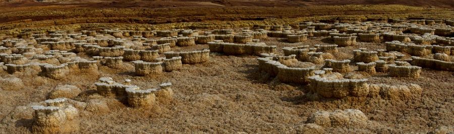 Panorama of surreal colors created by sulphur springs in the hottest place on earth, ethiopia.