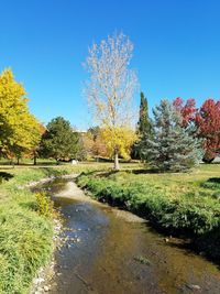 Scenic view of river against clear blue sky