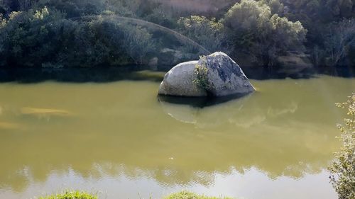 Scenic view of rock in lake