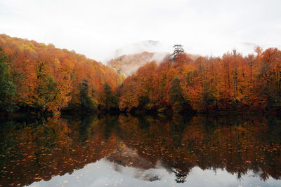 Scenic view of lake by trees against sky