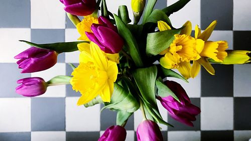 Close-up of multi colored tulips in vase