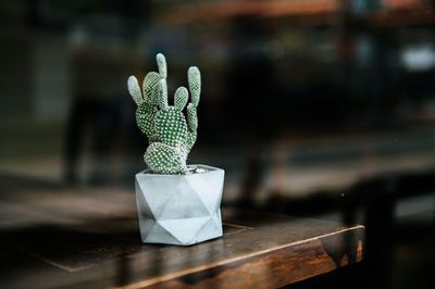 Close-up of potted cactus on table