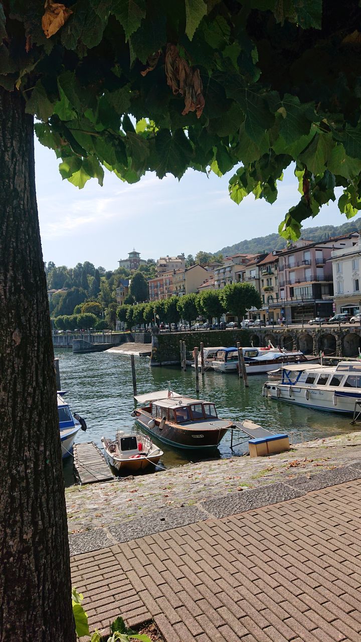 BOATS MOORED IN RIVER BY TREES AGAINST SKY