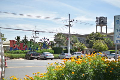 View of flowering plants on road against cloudy sky