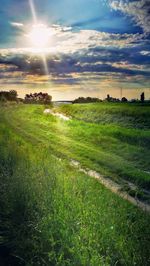 Scenic view of field against sky during sunset