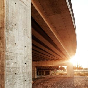 Dog underneath overpass at sunset