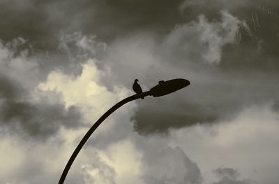 Low angle view of bird flying against sky