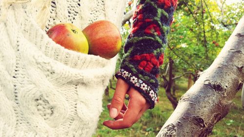 Midsection of woman carrying apples in pocket