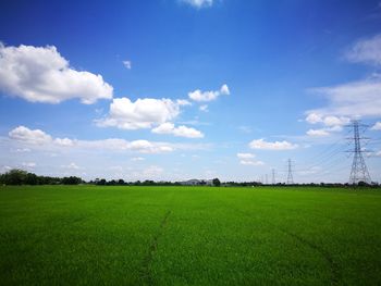 Scenic view of field against sky