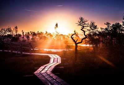 Footpath amidst trees against sky during sunset