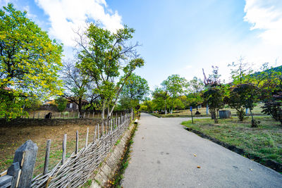 Road amidst trees against sky