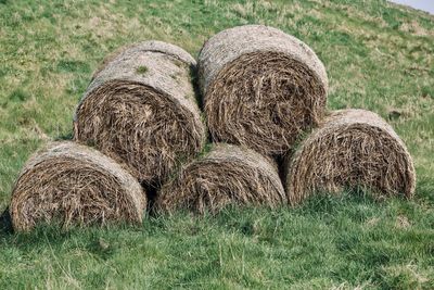 Hay bales in a field