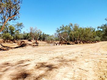 Scenic view of landscape against clear blue sky