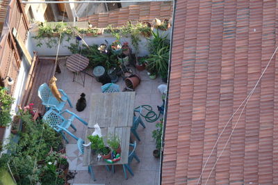 High angle view of potted plants on steps