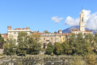 Trees growing by buildings in city