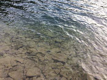 Full frame shot of water surface