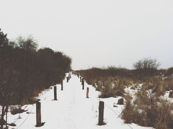Snow covered landscape