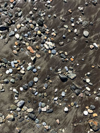 High angle view of pebbles on beach