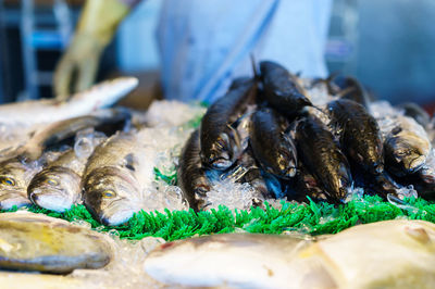 Full frame shot of seafood on ice