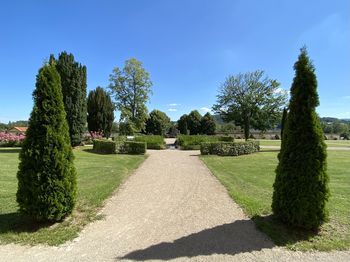 Footpath in garden