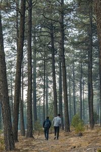 Rear view of people walking in forest