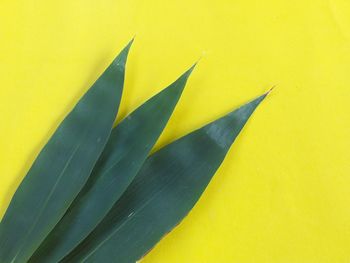 Full frame shot of yellow wall