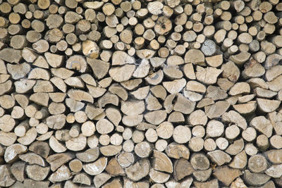 Full frame shot of logs in forest