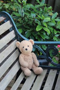 High angle view of teddy bear on bench