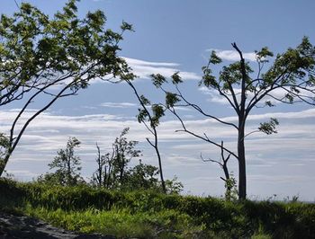 Scenic view of landscape against cloudy sky