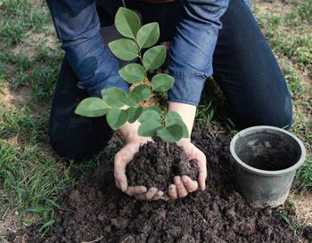 Close-up of man planting plant in park