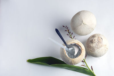 High angle view of eggs on table against white background