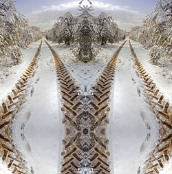 winter