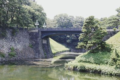 Bridge over trees against sky