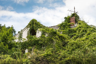 Low angle view of trees and building against sky