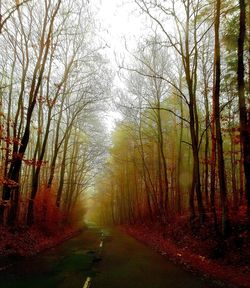 Dirt road amidst trees in forest during autumn