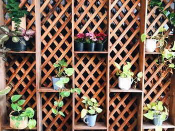 High angle view of potted plants