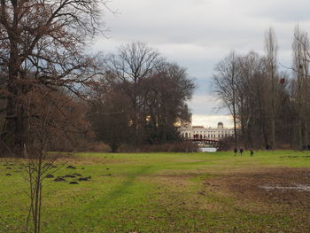 Bare trees against sky
