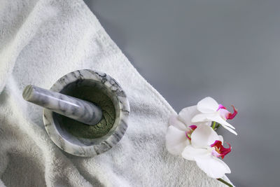 Close-up of white flowering plant against gray background