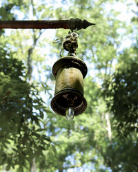 Low angle view of electric lamp hanging on tree