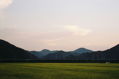Scenic view of rural landscape