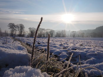 Scenic view of snow covered field against sky