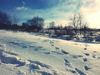 Trees on snow covered landscape against sky