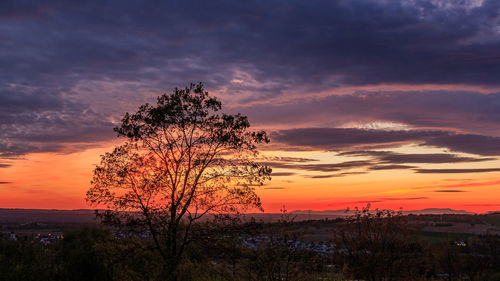 Silhouette tree against dramatic sky during sunset