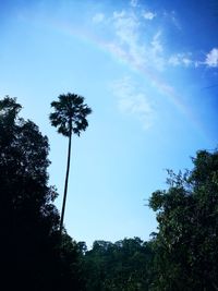 Low angle view of silhouette trees against sky