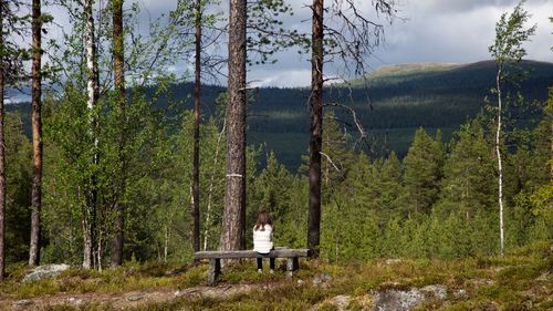 Rear view of person sitting on bench in forest
