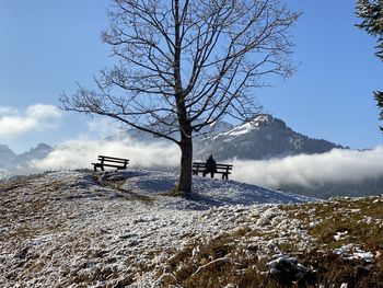 Rear view of woman sitting on bench against mountains during winter