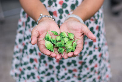 Midsection of woman holding bitter gourd