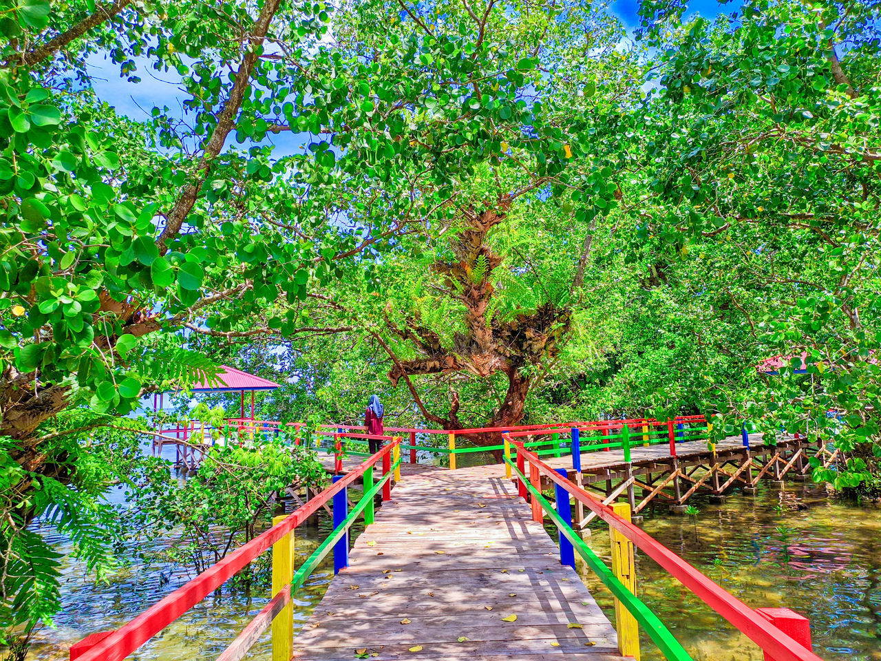 FOOTPATH AMIDST TREES IN FOREST