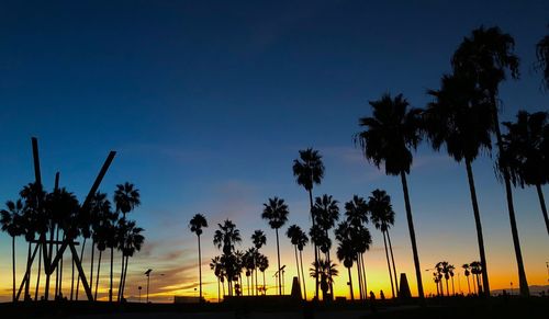 Silhouette of palm trees on beach during sunset